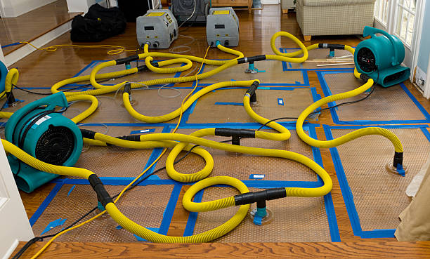 Professional Water Extraction technician working in Columbus, MI