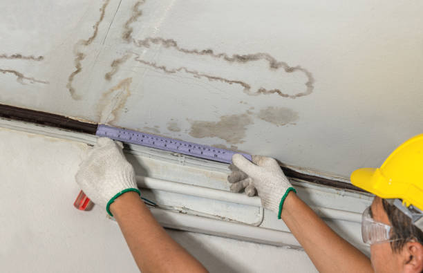 Affordable Water Damage Repair solutions in Columbus, MI
